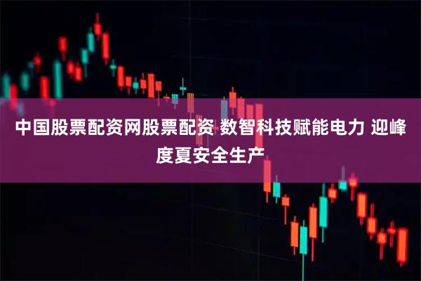 中国股票配资网股票配资 数智科技赋能电力 迎峰度夏安全生产